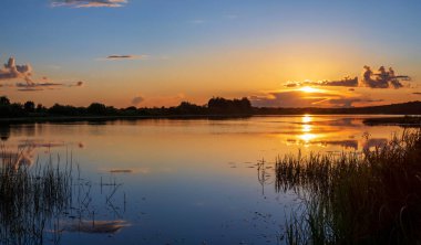 Çimen siluetiyle gölde altın yaz günbatımı .