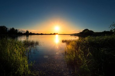 Çimen siluetiyle gölde altın yaz günbatımı .