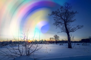 Mistik ve Fantastik Kış Ormanı. İşlenmiş fotoğraf sonrası sanatsal stil