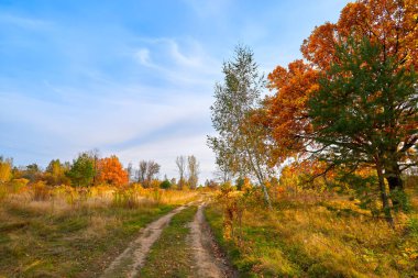 Sonbahar manzarası. Güneşli bir sonbahar günü. Altın orman ve mavi gökyüzü.