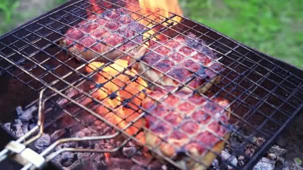 Pečení šťavnatý masový steak s kořením a bylinkami v hořících dřevěných uhlících oheň na grilu BBQ, plameny a kouř ve zpomaleném filmu. Šťavnatý steak s grilovacími pruhy připravenými na piknikovou oslavu. — Stock video