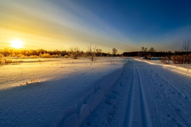 Karda kayak yaparak ormanda güzel bir kış şafağı.