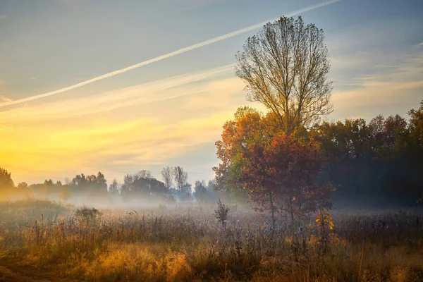 Goldener Sonnenaufgang im Herbst. Erholungsgebiet Wald. Herbst in Russland. Sonniger Tag. — Stockfoto