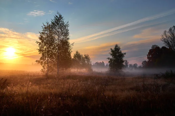 Autumn golden sunrise. Forest recreation area. Autumn in Russia. Sunny day.