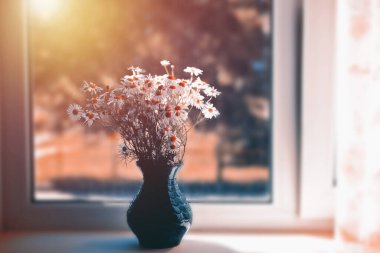 Bir buket papatya, pencere kenarındaki yeşil vazoda duruyor..