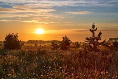 Çiçekli çayır ve güneş doğarken gökyüzünde görkemli bulutlar olan yaz manzarası. Yaz sabahı.