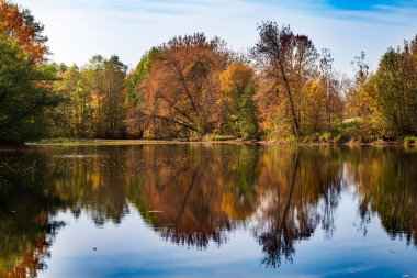Mistik göl göleti sonbahar sabahı sisle çevrilidir..