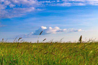 Mavi gökyüzünde açık mavi bulutlar ve yeşil geçit.