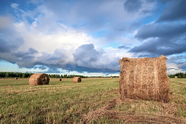 Veld met hooibergen. Veldlandschap met rollen en lucht. Landbouwconcept. Toned foto met kopieerruimte. — Stockfoto