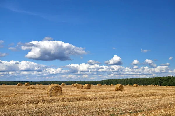 Fält med höstack. Fält landskap med rullar och himmel. Jordbrukskoncept Tonat foto med kopieringsutrymme. — Stockfoto