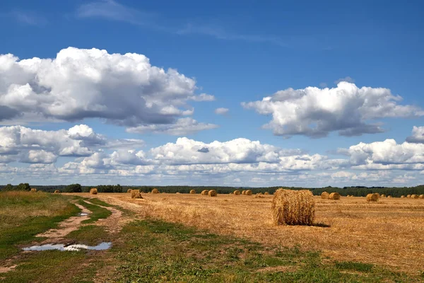 Fält med höstack. Fält landskap med rullar och himmel. Jordbrukskoncept Tonat foto med kopieringsutrymme. — Stockfoto