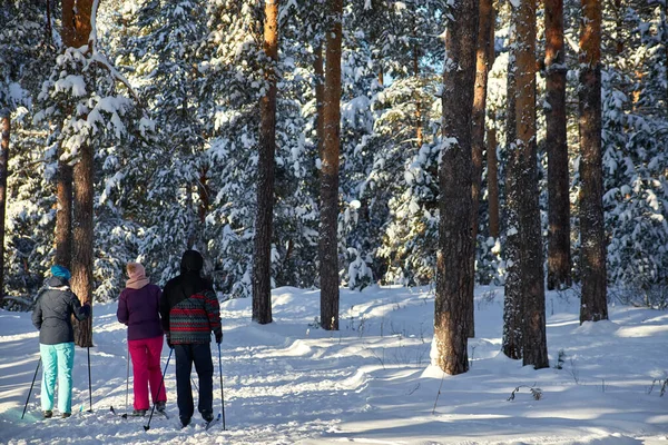 People in the forest walk on skis. Healthy lifestyle.