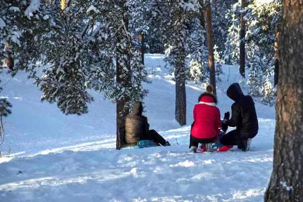 Families in the forest ride sleds from a slide. Healthy lifestyle.