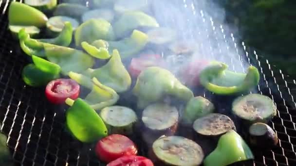 Outdoor grilling vegetables on barbecue. Healthy food. — Stock Video