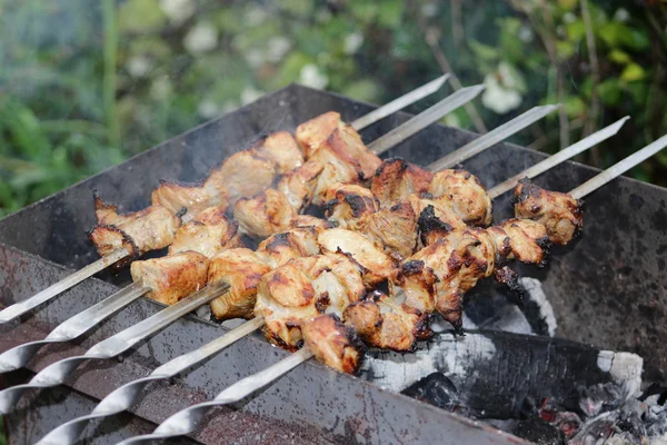 Kömür ızgara domuz eti şiş. Barbekü kamp akşam yemeği.