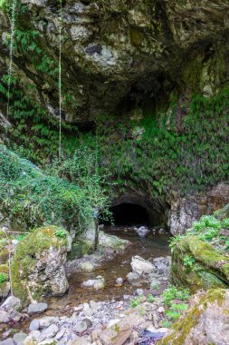 Şelaleler, yürüyüş yolları, izleme noktaları ve piknik alanları Kastamonu, Pnarba bölgesi, Batı Karadeniz bölgesi, doğal mucize kanyonu ve orman.