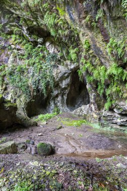 Şelaleler, yürüyüş yolları, izleme noktaları ve piknik alanları Kastamonu, Pnarba bölgesi, Batı Karadeniz bölgesi, doğal mucize kanyonu ve orman.