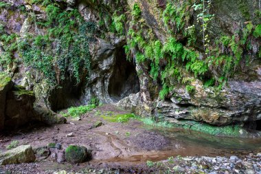 Şelaleler, yürüyüş yolları, izleme noktaları ve piknik alanları Kastamonu, Pnarba bölgesi, Batı Karadeniz bölgesi, doğal mucize kanyonu ve orman.