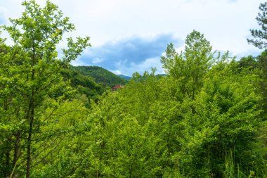 Şelaleler, yürüyüş yolları, izleme noktaları ve piknik alanları Kastamonu, Pnarba bölgesi, Batı Karadeniz bölgesi, doğal mucize kanyonu ve orman.