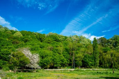 Mugada plajı, Batı Karadeniz, bartin, hindi
