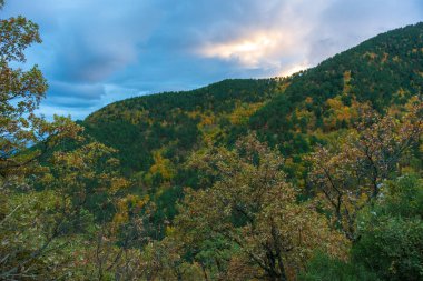 Baklabostan Şelalesi 'nde sonbahar renkleri. Batı Karadeniz Bölgesi 'nde Karabk Eyaleti sınırları içinde
