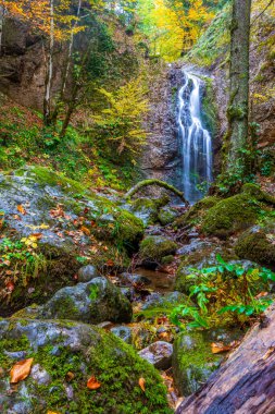 Baklabostan Şelalesi 'nde sonbahar renkleri. Batı Karadeniz Bölgesi 'nde Karabk Eyaleti sınırları içinde