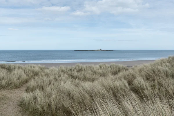 Ada, Northumberland, İngiltere - 13 Nisan 2015 çekilen fotoğraf coquet