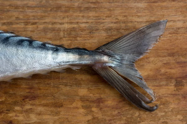 Peixe Mackerel Atlântico perto de cauda & detalhe da pele — Fotografia de Stock