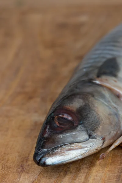 Close up de Mackerel Atlântico descansando em tábua de cortar — Fotografia de Stock