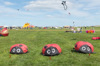 Blyth, Northumberland, İngiltere: 04 Mayıs 2015. Uçurtma uçuş Blyth Uçurtma Festivali 2015