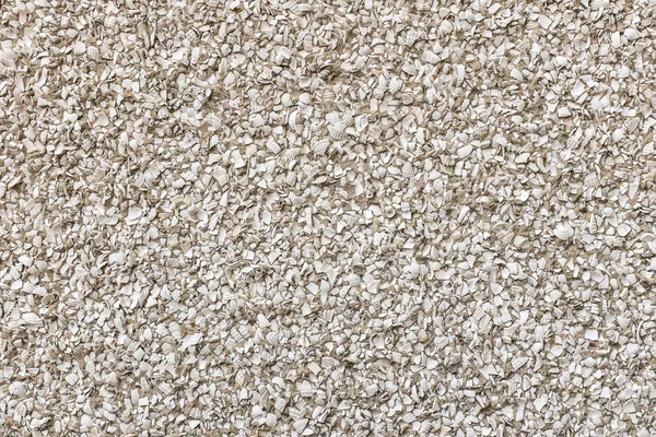 Kırık deniz kabuğu dash çimento render duvara