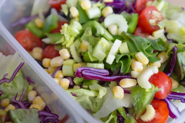 Смешанный здоровый овощной салат в обеденной коробке Стоковое Изображение