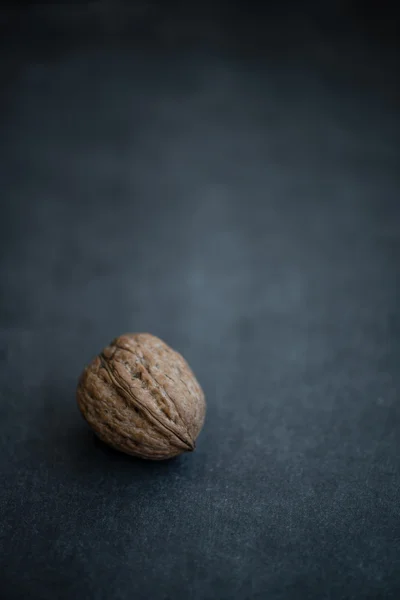 Nussbaum ruht auf dunklem Hintergrund — Stockfoto