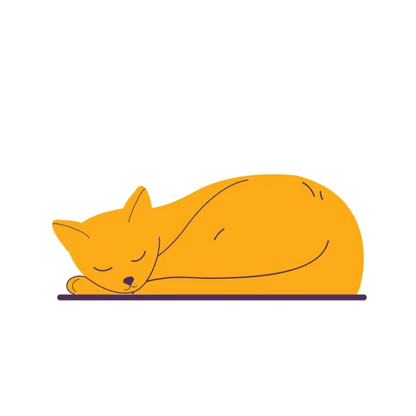 Evcil Kedi Uyuyor Basit Vektör Düz Resimleme — Stok Vektör