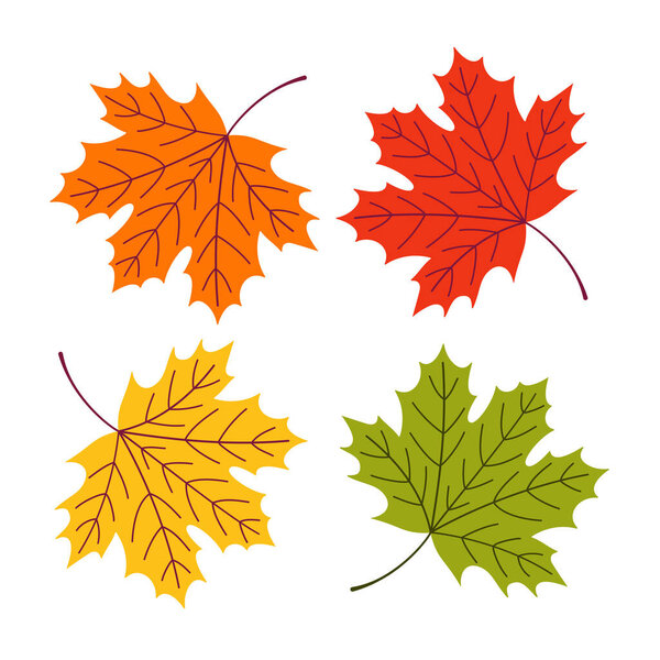 A set of autumn maple leaves of different colors on a white isolated background. Vector flat illustration.