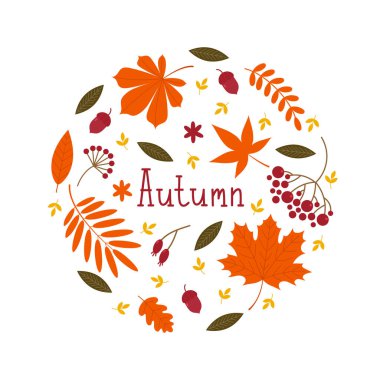 Sonbahar yaprakları, böğürtlenler, çiçekler ve meşe palamutlarının parlak vektör arkaplanı. Sonbahar yazıtları. Beyaz arkaplanda düz bir illüstrasyon.