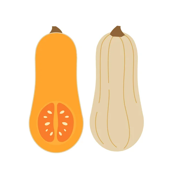 Zucca Semplice Vettoriale Illustrazione Piatto — Vettoriale Stock