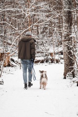 Kış mevsiminde köpek yavrusu gezdiren bir adam Fince Lapphund köpeği