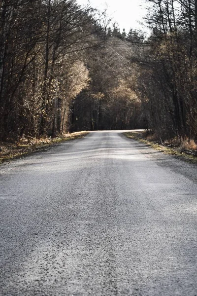 Landscape Photo Country Road Forest Autumn — Foto de Stock