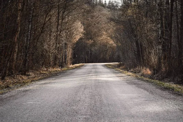 Landscape Photo Country Road Forest Autumn —  Fotos de Stock