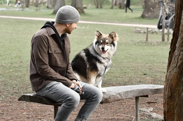 Portrait Chien Finlandais Lapphund Chien Homme Dans Parc — Photo