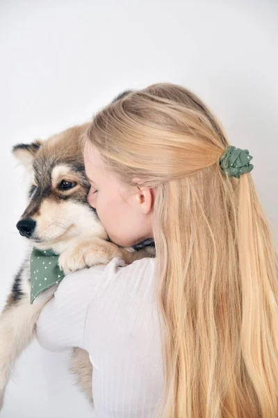 Photo Young Woman Kissing Puppy Finnish Lapphund Dog Wearing Matching — Stock Photo, Image