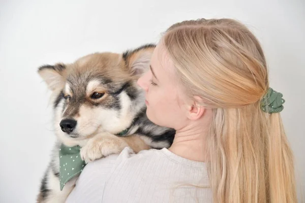 Yavru köpeğine sarılan sarışın bir kadının fotoğrafı Fince Lapphund köpeğiydi.