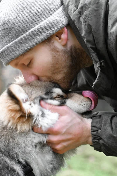 Retrato Homem Beijando Cão Lapphund Finlandês Sua Cabeça — Fotografia de Stock