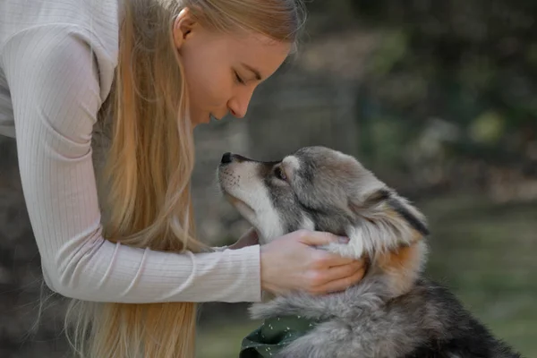 Μια Ξανθιά Γυναίκα Αγκαλιάζει Ένα Φινλανδικό Σκυλί Lapphund Έχουν Ταιριάζουν — Φωτογραφία Αρχείου