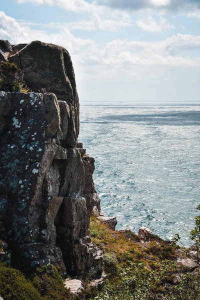 Landscape Photo Seaside Ocean Sea Cliff — Stock Photo, Image