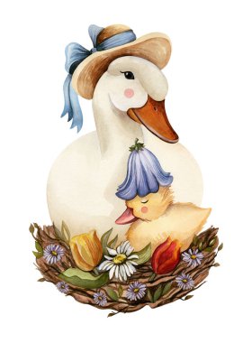 Anne ördek ve küçük ördek yuvada. El çizimi. Çizgi film suluboya çizimi