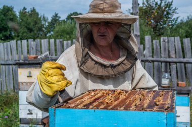 Arı yetiştiricisi bal almak için arıların kapağını açar.