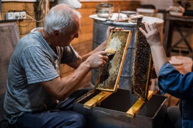 El, bal peteklerini çerçeveye bal ile tıkamak için bir kazıyıcı kullanıyor. Arıcı Bal Tarağını Aç.