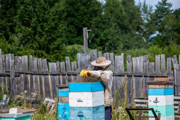Человек в защитном костюме пчеловод использует устройство для фумигации дыма, чтобы успокоить пчел в ульях и проверить урожай меда в сотах — стоковое фото